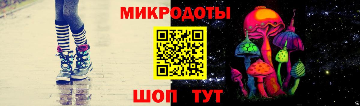Псилоцибиновые грибы Psilocybe Учалы